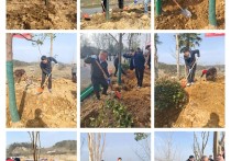 春风催新绿 植树正当时 | 蕲春县纪委监委机关开展义务植树活动