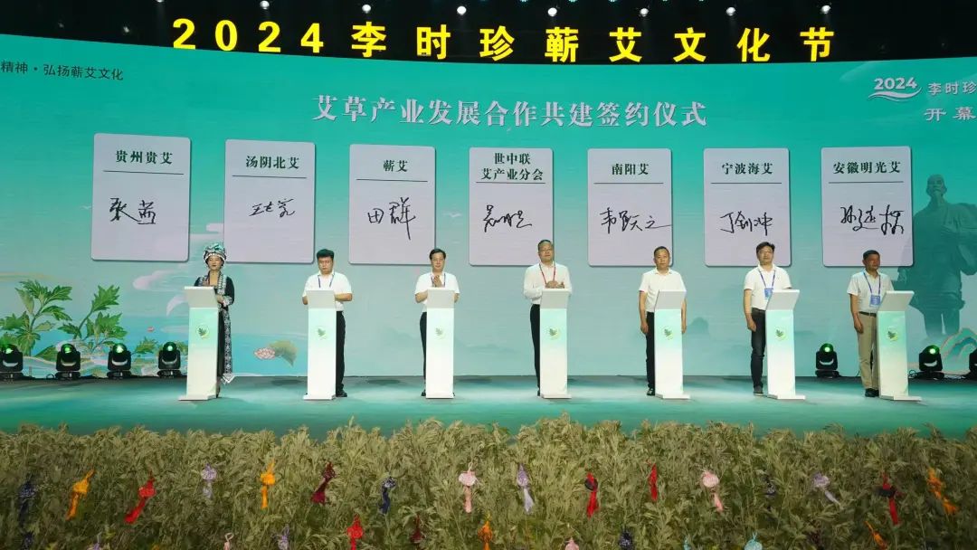 全国6大艾草主产区携手，湖北蕲春发布“艾”的宣言-第2张图片-蕲春在线