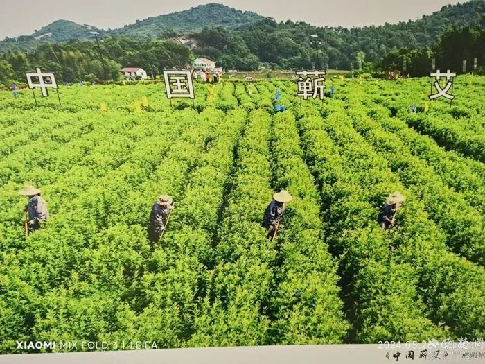 新华社等主流媒体“曝光”蕲春......-第14张图片-蕲春在线