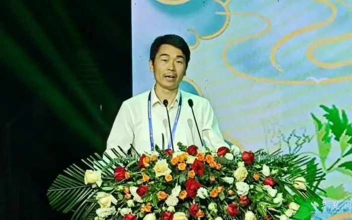 新华社等主流媒体“曝光”蕲春......-第15张图片-蕲春在线