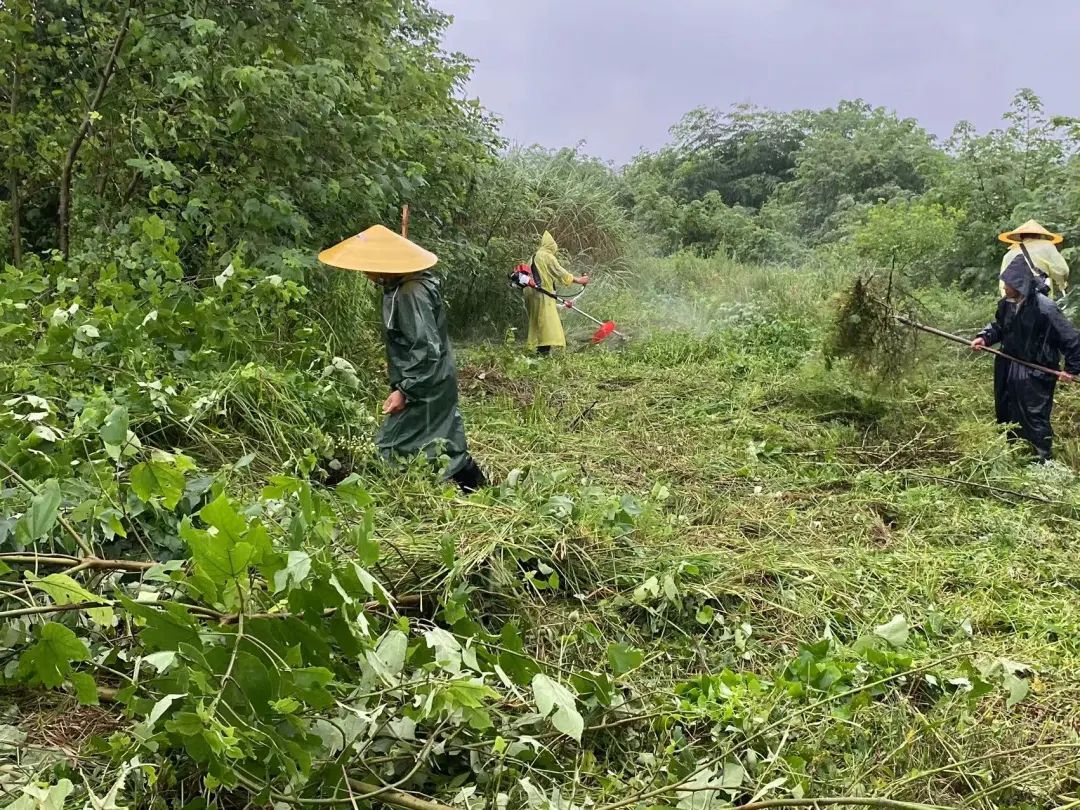 防汛一线，他们冲锋在前-第4张图片-蕲春在线